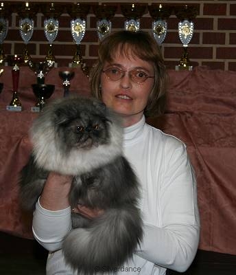 Best of Breed overall Persian