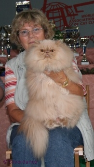Best in Show