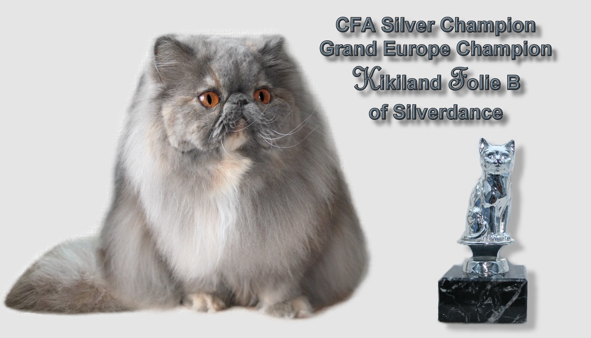 CFA Silver CH / GEC Kikiland Folie B of Silverdance