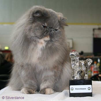 CFA Silver CH/GEC Kikiland Folie B of Silverdance