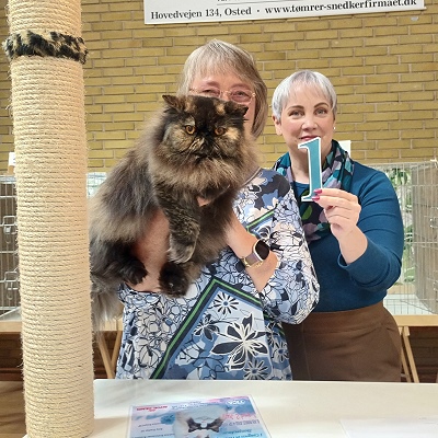 TICA RW QGC SGCA EC Yellicle's Medley of Silverdance