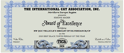 TICA RW, QGC/EC Yellicle's Medley of Silverdance
