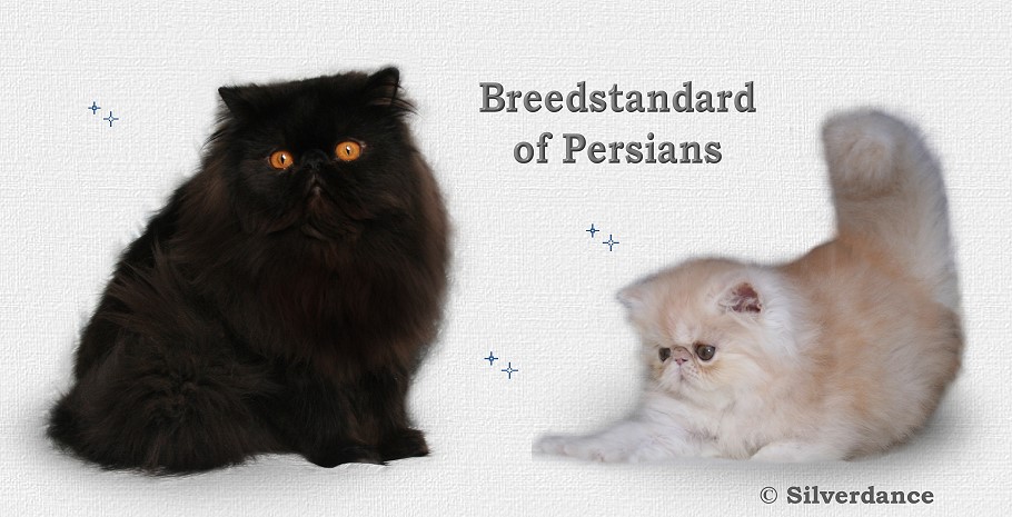 Breedstandard of Persians