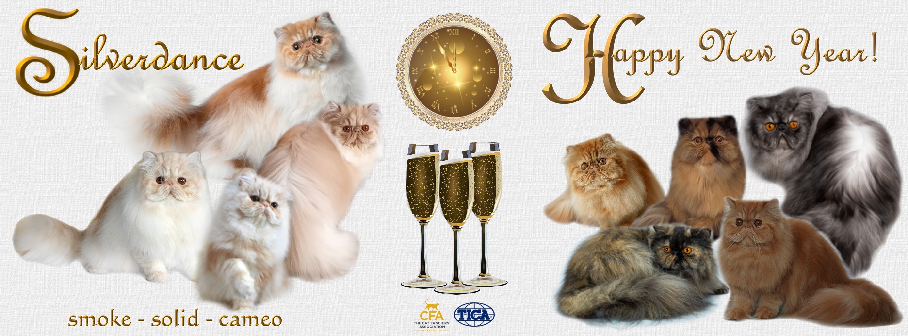 Silverdance Persians - CFA & TICA cattery for smoke persians & solid persians & cameo persians