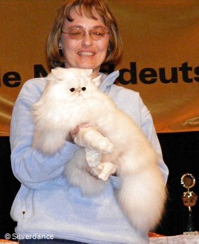 CFA CH/GEC Pele-Mele's Silver Sunshine on Ice of
Silverdance