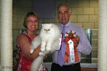 CFA CH/GEC Pele-Mele's Silver Sunshine on Ice of
Silverdance