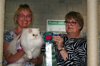 CFA CH/GEC Pele-Mele's Silver Sunshine on Ice of
Silverdance