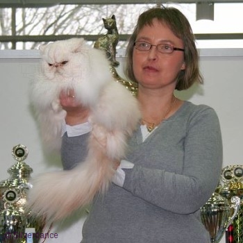 CFA CH/GEC Pele-Mele's Silver Sunshine on Ice of
Silverdance