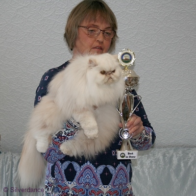 CFA CH/GEC Pele-Mele's Silver Sunshine on Ice of
Silverdance