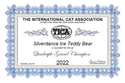 TICA RW SGC/EC Silverdance Ice Teddy Bear