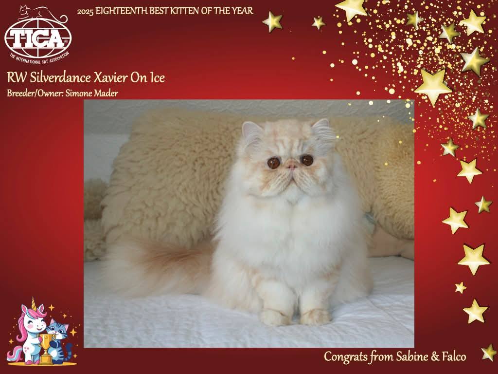 TICA RW QGC / EC Silverdance Xavier On Ice